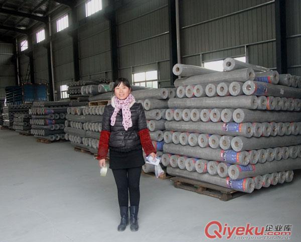 阻燃型紡粘聚乙烯和聚丙烯膜防水透汽層 實力廠家歡迎驗廠原始圖片2