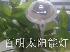 北京太陽能草坪燈_買優(yōu)質(zhì)太陽能草坪燈到百明太陽能燈