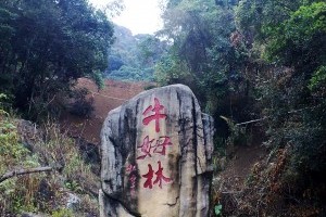 宝中旅游提供优质的泉州到永春魁星岩牛姆林服务，闻名全国