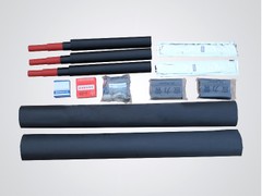 25KV六氟化硫電纜分支箱——浙江專業的20KV電纜分支箱【供銷】