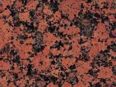 英國(guó)棕品牌：大量出售好的英國(guó)棕