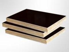 廣西哪里有供應(yīng)耐用的模板，北海半成品