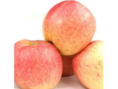 晉江水果：報(bào)價(jià)合理的臺(tái)灣紅心芭樂果喲供應(yīng)