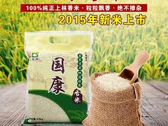 南寧食用油廠家供應——買純正野生山茶油就來國康生態農業