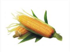 價(jià)格超值的花生供應(yīng)，就在郭小紅個(gè)體經(jīng)營：禹州許昌花生收購