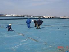 敏建建筑专业提供防水补漏 广西防水补漏公司