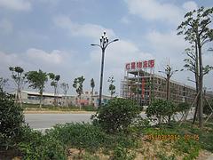 口碑好的物流運輸服務(wù)哪里有：尊龍物流泉州（晉江）分公司信息