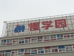 LED發光字選哪家好|批銷LED發光字
