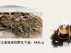 利榮昌提供超好的金線蓮：龍巖福建金線蓮功效