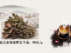 利榮昌專業供應金線蓮：鐵皮石斛廠家