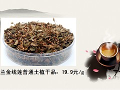 金線蓮種植——價(jià)位合理的金線蓮【薦】