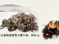 價格超值的金線蓮【薦】——城廂鐵皮石斛