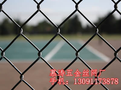 想買好的pe勾花網，慕濤五金絲網制品廠是您wm的選擇 ：鐵嶺pe勾花網