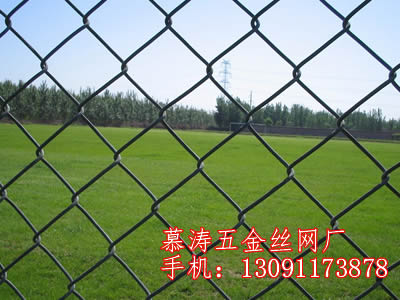 哪有供應專業的菱形勾花網 |保定勾花網