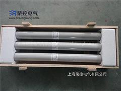 温州哪里有供应价位合理的高压熔断器RXWO-35/0.5——福建高压限流熔断器