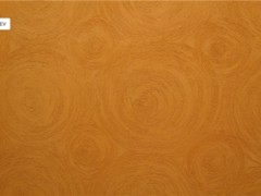 瑞嘉建材信譽好的平涂寫真硅藻泥銷售商|卡通硅藻泥廠家