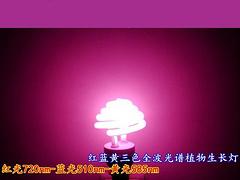 信譽好的蔬菜種植技術員培訓機構 蔬菜種植技術員培訓課程