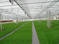 高質量的鋼結構車間建造推薦，鋼結構車庫建造