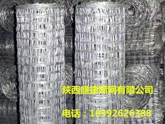 質(zhì)量好的勾花網(wǎng)【誠摯推薦】——河北勾花護(hù)欄網(wǎng)