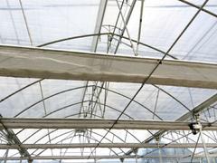 福建高質(zhì)量的蔬菜大棚搭建 福建蔬菜溫室