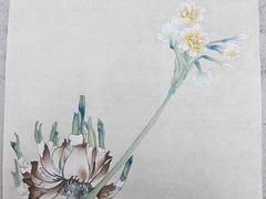 美術(shù)培訓(xùn)費(fèi)用|高考美術(shù)培訓(xùn)哪家有