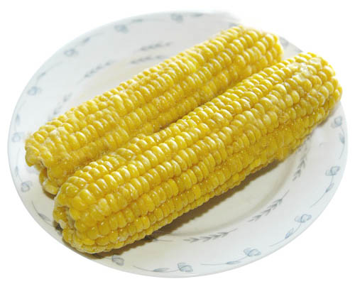 甜玉米加工，甜玉米廠家-壽光億龍食品