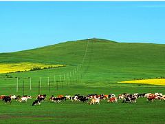 河南到呼倫貝爾旅游|鄭州到呼倫貝爾草原旅游報(bào)價(jià)