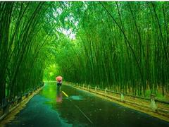 哪家公司有提供有口碑的鄭州到重渡溝旅游，洛陽(yáng)到重渡溝旅游