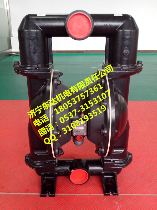 熱銷BQG-15氣動隔膜泵原始圖片2