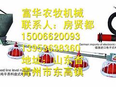 豬用塑料漏糞板出售——專業的塑料漏糞板推薦