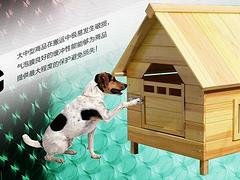 蘇州哪里有供應高性價氣泡包裝膜——氣泡氣柱袋