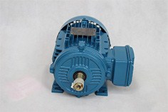 90kw進(jìn)口電機(jī)*進(jìn)口電機(jī)*90kw電機(jī)供應(yīng)*邁騰供