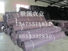 搭建連棟生態餐廳|去哪找靠譜的連棟生態餐廳建設