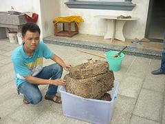 莆田白蟻防治，福州有口碑的白蟻滅治公司