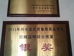 可信賴的葡萄建園首要選擇發發葡萄種植_茂名葡萄建園