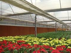 山西花卉溫室工程 花卉溫室工程哪家專業