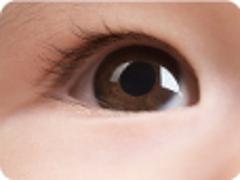 和平眼科供應(yīng){yl}的青光眼zl：井陘礦zl青光眼