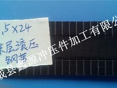 規(guī)模大的沖切鋼帶供應(yīng)商排名：沖切鋼帶批發(fā)價(jià)格