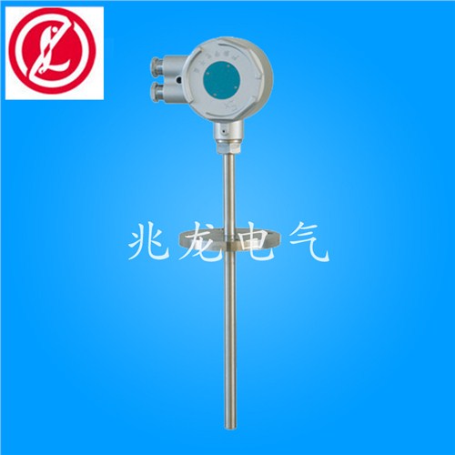 鉑銠10鉑熱電偶/熱套式熱電偶/兆龍供應