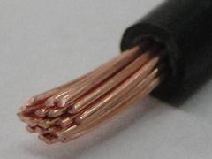 供應(yīng)衡水地區(qū)優(yōu)質(zhì)塑料絕緣控制電纜_上等電線電纜