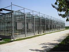 河北生態餐廳|國興溫室工程是濰坊專業的生態餐廳
