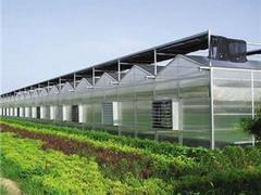 山東連棟溫室大棚供應，連棟溫室建造