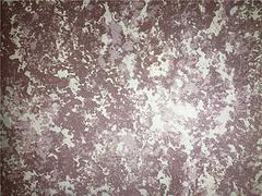 重慶溫尼特藝術(shù)涂料加盟：誠招專業(yè)的溫尼特藝術(shù)涂料加盟服務(wù)商