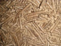 泉州生物質顆粒燃料：哪兒能買到優質生物質顆粒燃料呢