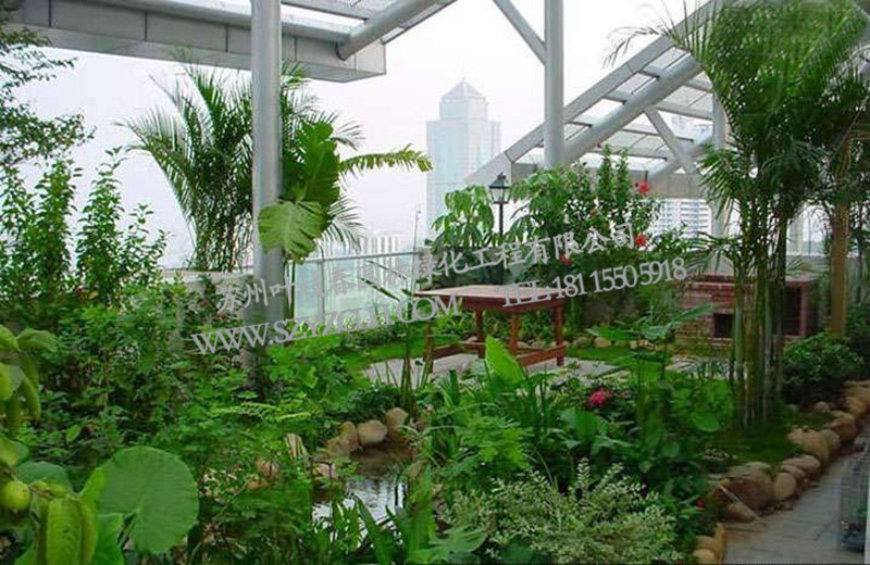 蘇州葉枝春園林{yl}的綠化工程推薦|江蘇別墅庭院綠化