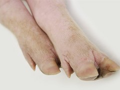 哪里有供應(yīng)劃算的雙匯冷鮮肉——華龍雙匯冷鮮肉