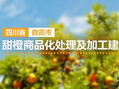 一級(jí)的產(chǎn)業(yè)項(xiàng)目產(chǎn)品廣告發(fā)布 武漢創(chuàng)意產(chǎn)業(yè)項(xiàng)目產(chǎn)品廣告發(fā)布公司