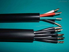 物超所值的低壓電纜南纜電纜供應，射頻電纜生產