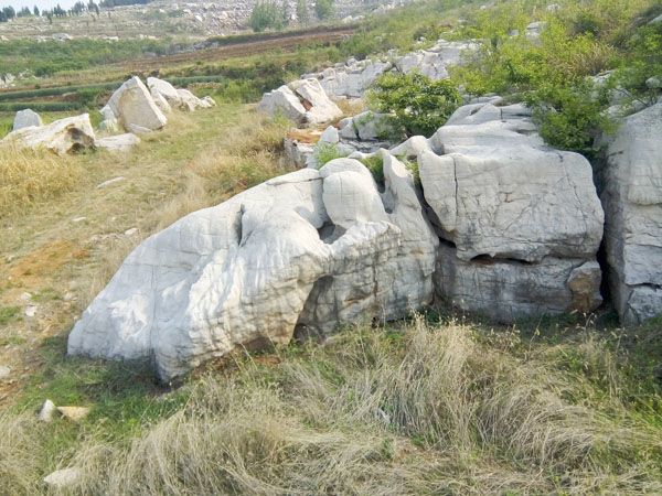 山東優(yōu)質(zhì)假山古建：假山古建假設(shè)