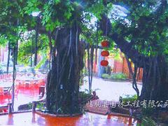 仿真假樹(shù)市場(chǎng)行情資訊，山東仿真假樹(shù)設(shè)計(jì)